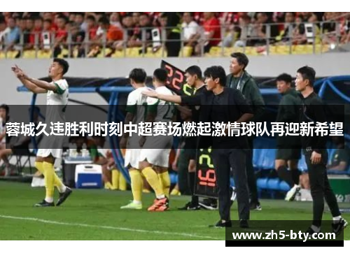 蓉城久违胜利时刻中超赛场燃起激情球队再迎新希望 蓉城久违胜利时刻中超赛场燃起激情球队再迎新希望