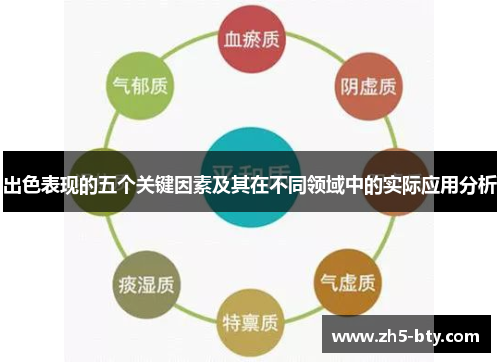 出色表现的五个关键因素及其在不同领域中的实际应用分析