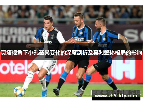 莫塔视角下小孔塞桑变化的深度剖析及其对整体格局的影响 莫塔视角下小孔塞桑变化的深度剖析及其对整体格局的影响