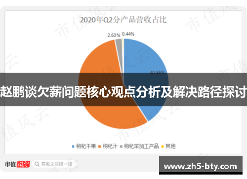 赵鹏谈欠薪问题核心观点分析及解决路径探讨 赵鹏谈欠薪问题核心观点分析及解决路径探讨